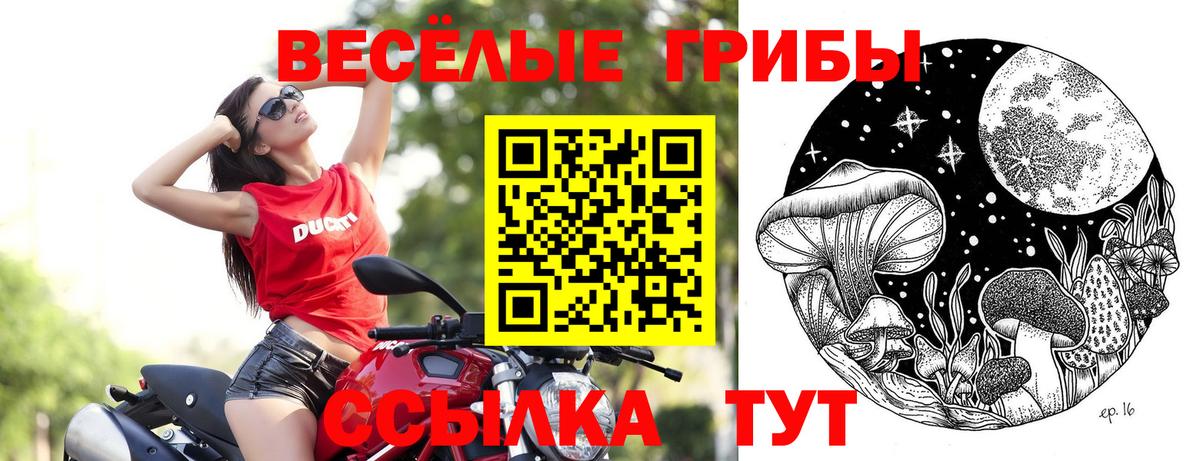 Галлюциногенные грибы MAGIC MUSHROOMS Михайловка